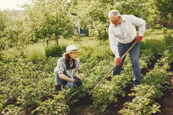 Agricultura Sustentável para Idosos: Como Cultivar Saúde, Comunidade e Qualidade de Vida