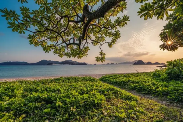 Tendências globais em agroecologia: o que 2025 está mostrando